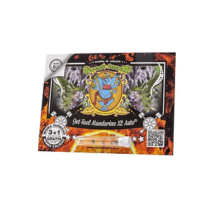 JET FUEL MANDARINE XL AUTO X3+1-SWEET SEEDS