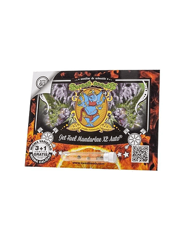 JET FUEL MANDARINE XL AUTO X3+1-SWEET SEEDS 1