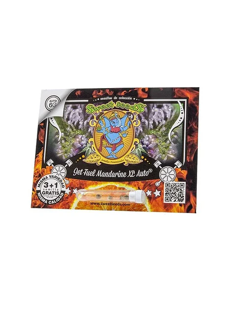 Jet Fuel Mandarine Xl Auto X3+1-Sweet Seeds 1