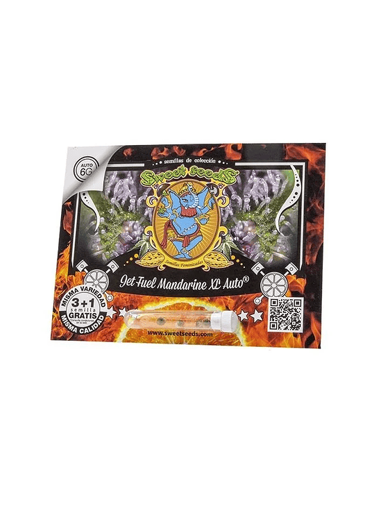 JET FUEL MANDARINE XL AUTO X3+1-SWEET SEEDS 1