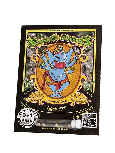 Jack 47 Fem -Sweet Seeds (X100/X25/X3+1) 1