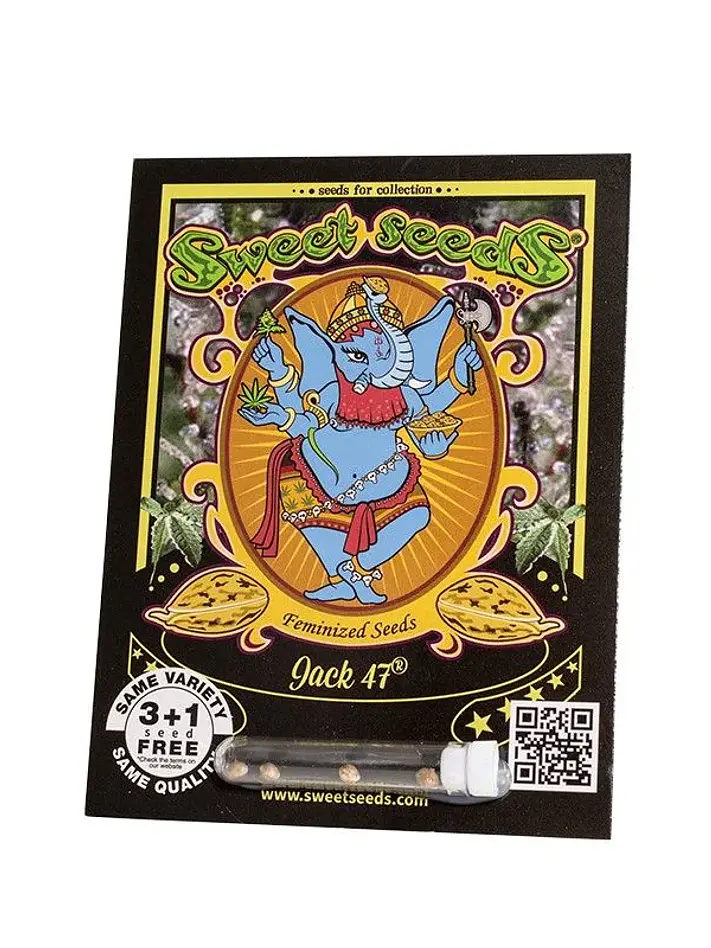 Jack 47 Fem -Sweet Seeds (X100/X25/X3+1) 1