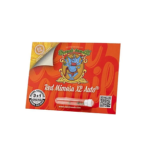 Red Mimosa Xl Auto® 3+1 Sweet Seeds