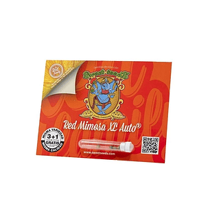 RED MIMOSA XL AUTO® 3+1 SWEET SEEDS
