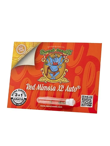 RED MIMOSA XL AUTO® 3+1 SWEET SEEDS 1