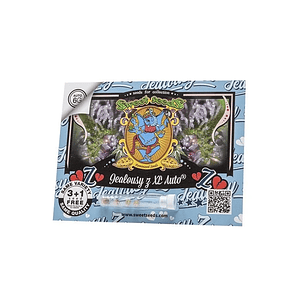 JEALOUSY Z XL AUTO X25-SWEET SEEDS