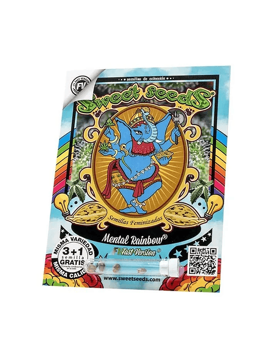 MENTAL RAINBOW F1 FAST VERSION X3+1-SWEET SEEDS 1