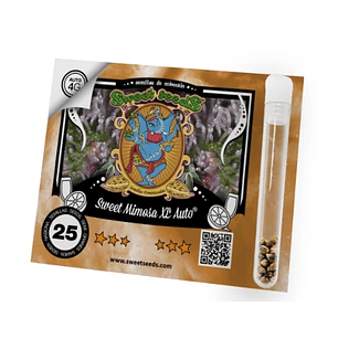 SWEET MIMOSA XL AUTO X25-SWEET SEEDS