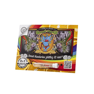 Sweet Mandarine Zkittlez Xl Auto® 3+1-Sweet Seeds