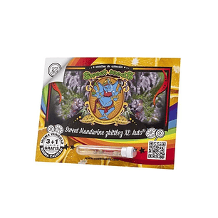 SWEET MANDARINE ZKITTLEZ XL AUTO® 3+1-SWEET SEEDS