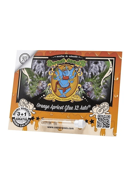 ORANGE APRICOT GLUE XL AUTO® 3+1-SWEET SEEDS 1