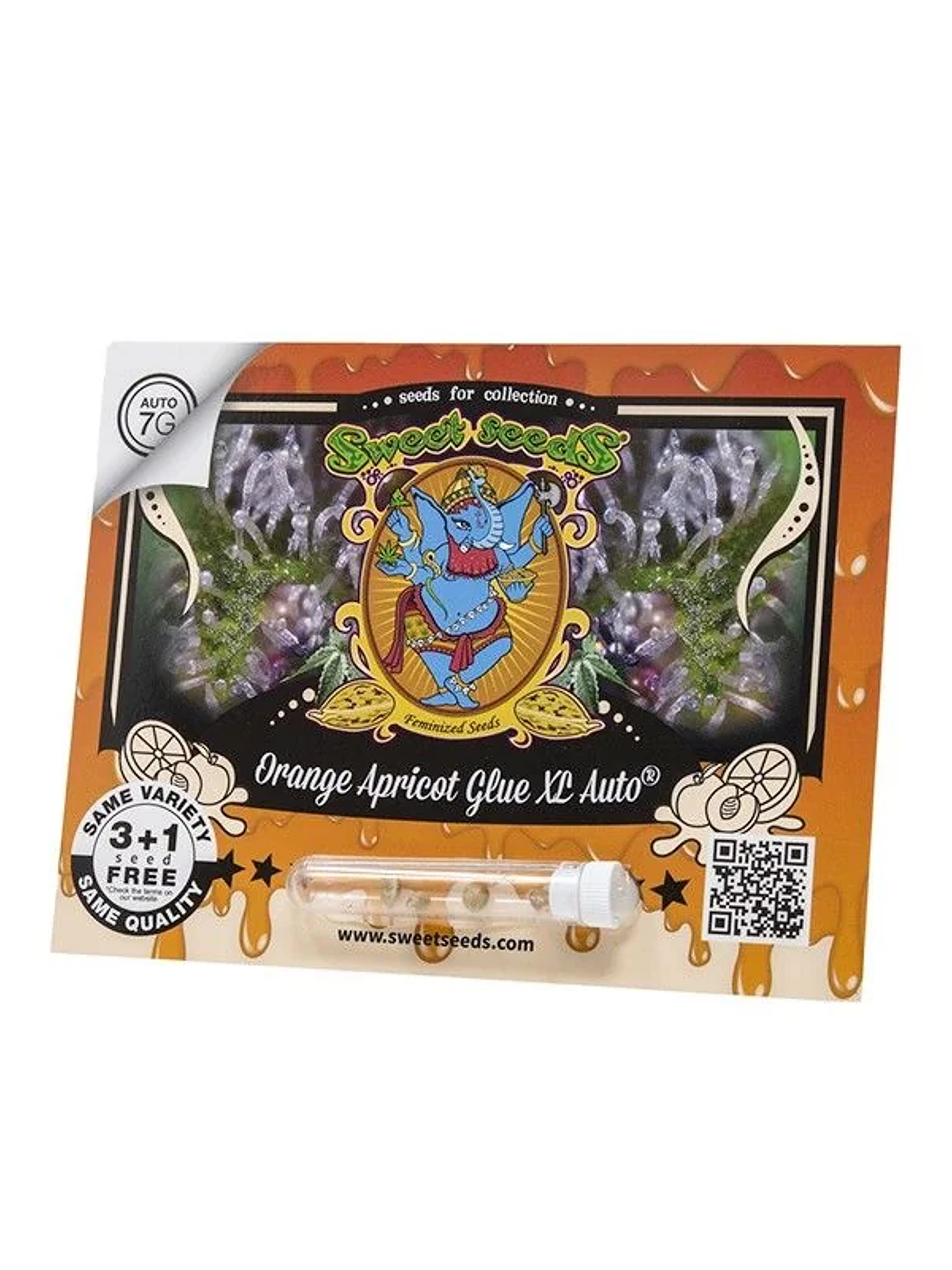 Orange Apricot Glue Xl Auto -Sweet Seeds (X100/X25/X3+1) 1