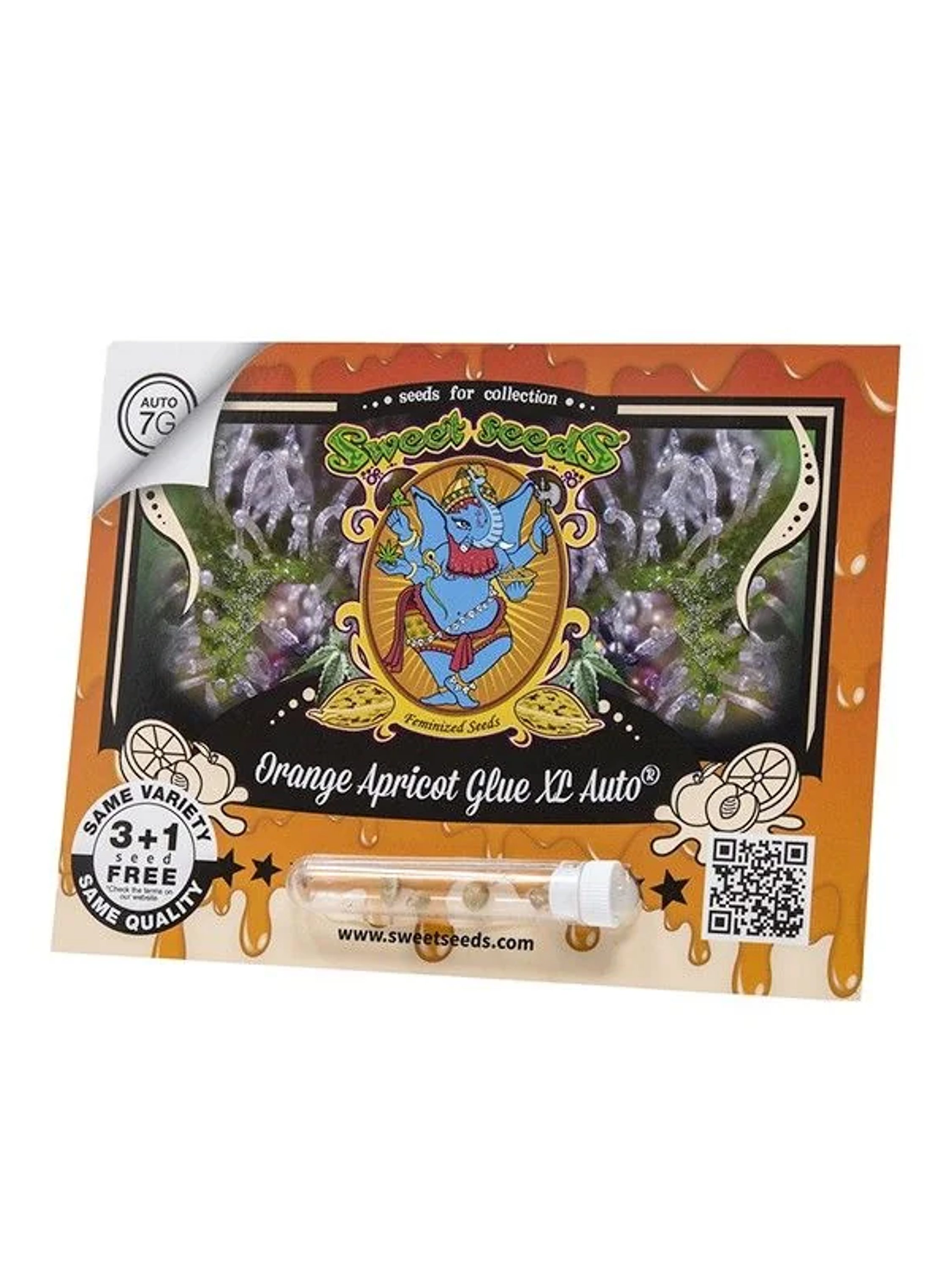 Orange Apricot Glue Xl Auto -Sweet Seeds (X100/X25/X3+1) 1