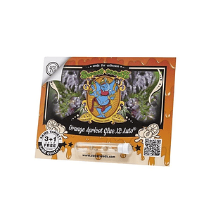 Orange Apricot Glue Xl Auto -Sweet Seeds (X100/X25/X3+1)