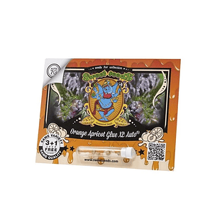 ORANGE APRICOT GLUE XL AUTO X100-SWEET SEEDS