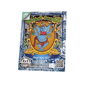 Sweet Pure Cbd Fem X3+1-Sweet Seeds