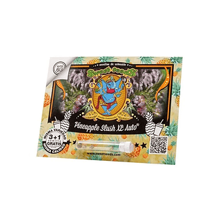 PINEAPPLE SLUSH XL AUTO X3+1-SWEET SEEDS