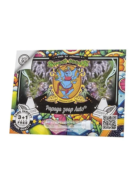 Papaya Zoap Auto -Sweet Seeds (X100/X25/X3+1) 1
