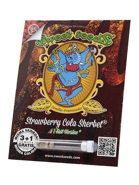Strawberry Cola Sherbert F1 X3+1 - Sweet Seeds 1