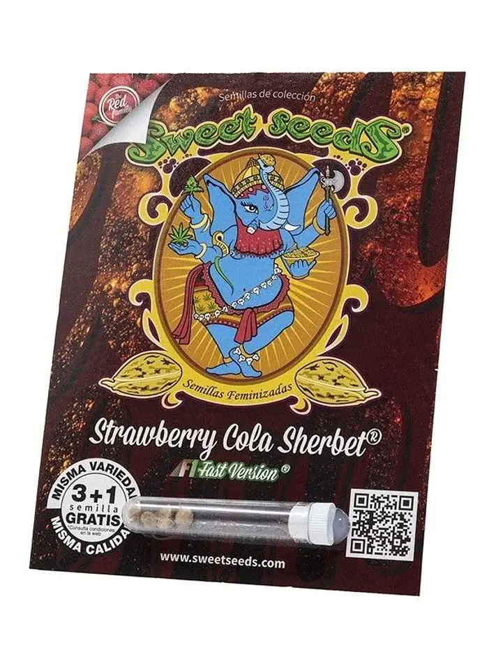 Strawberry Cola Sherbert F1 X3+1 - Sweet Seeds 1