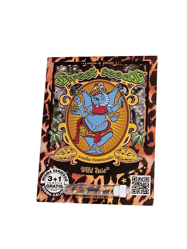 WILD ROSE FEM X3+1-SWEET SEEDS 1