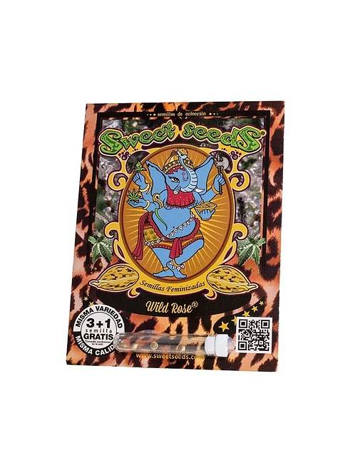 Wild Rose Fem X3+1-Sweet Seeds 1