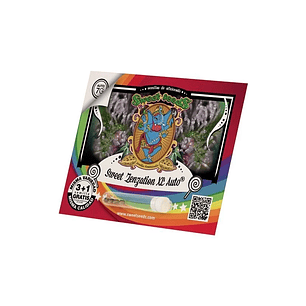 SWEET ZENZATION XL AUTO® X3+1-SWEET SEEDS