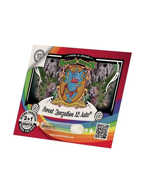 Sweet Zenzation Xl Auto® X3+1-Sweet Seeds 1