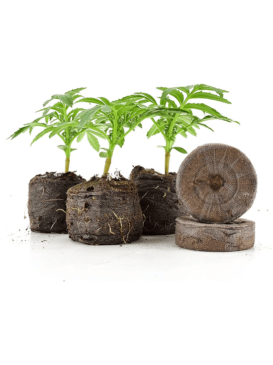 DISCOS MEDIANO 33MM-JIFFY 4