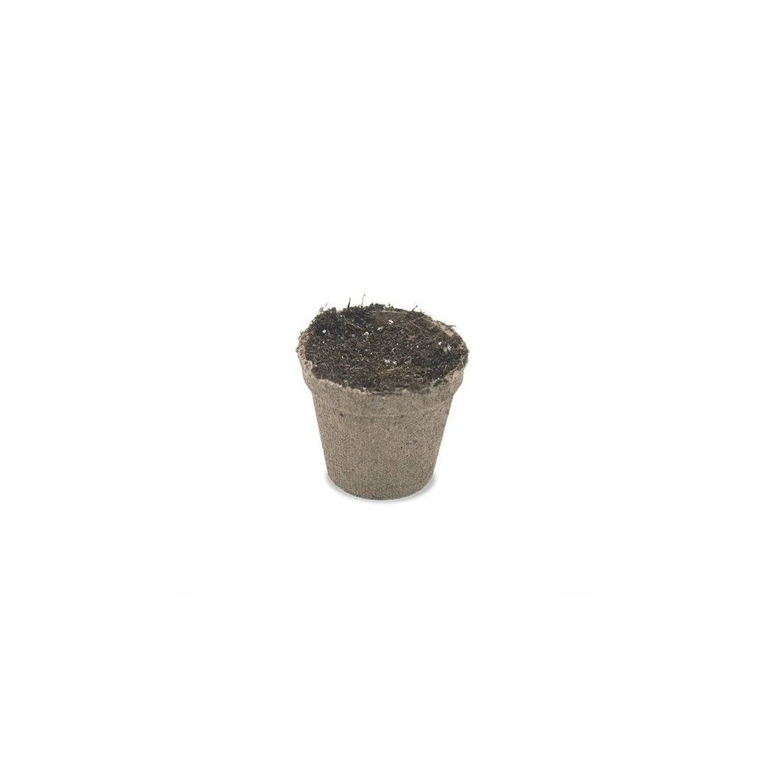 Maceta Biodegradable 99Cc 10Un-Jiffy 3