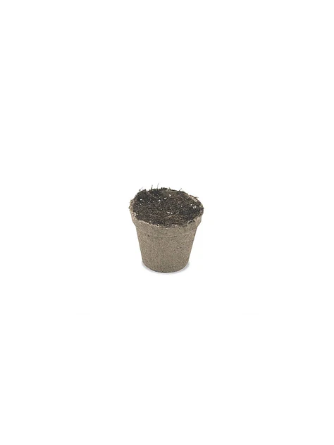 Maceta Biodegradable 99Cc 10Un-Jiffy 3