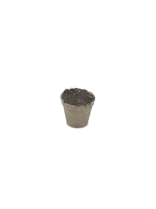 MACETA BIODEGRADABLE 99CC 10UN-JIFFY 3