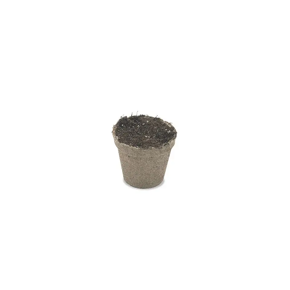 Maceta Biodegradable 10UD  (99CC/430CC)-Jiffy 3