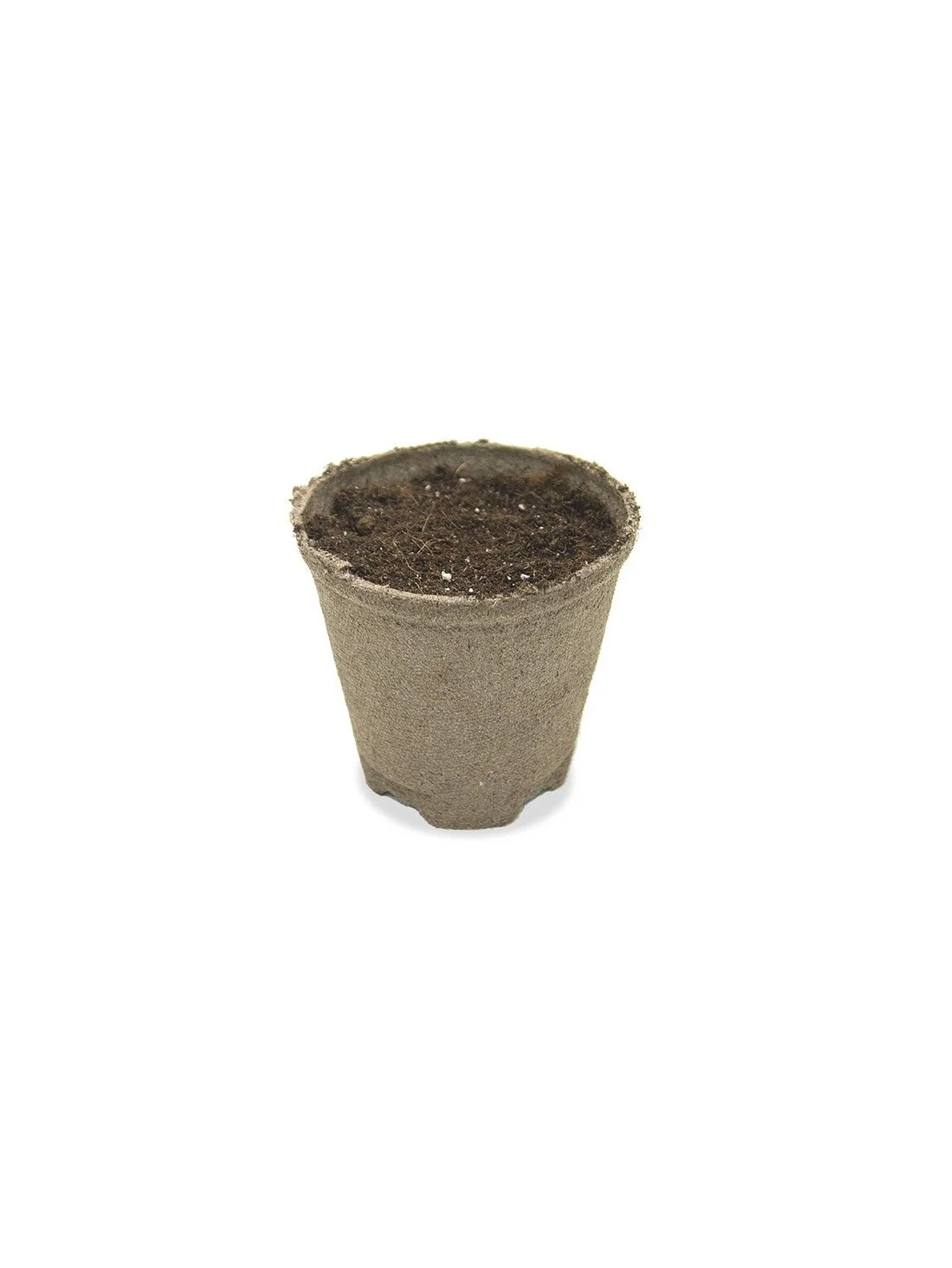 Maceta Biodegradable 430Cc 10Un-Jiffy 3