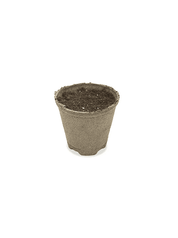 MACETA BIODEGRADABLE 430CC 10UN-JIFFY 3