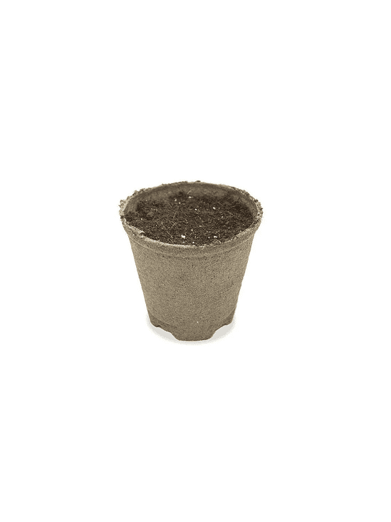 MACETA BIODEGRADABLE 430CC 10UN-JIFFY 3