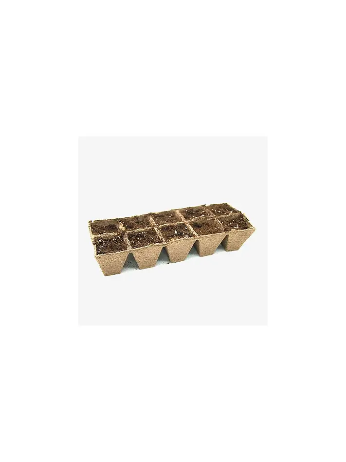 Propagadora Biodegradable 58Cc 10Un-Jiffy 2