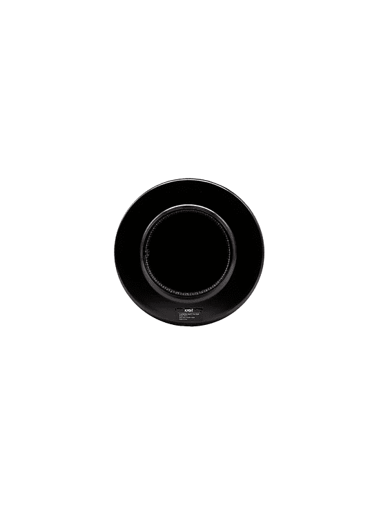 FILTRO DE CARBON ACTIVADO 100X300-KASVI 2