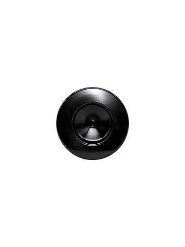 FILTRO DE CARBON ACTIVADO 100X300-KASVI 3