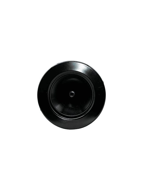 FILTRO DE CARBON ACTIVADO 125X400-KASVI 2