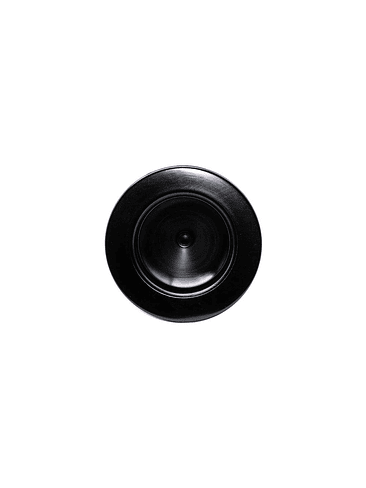 FILTRO DE CARBON ACTIVADO 150X400-KASVI 2