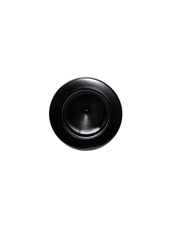 FILTRO DE CARBON ACTIVADO 150X400-KASVI 2