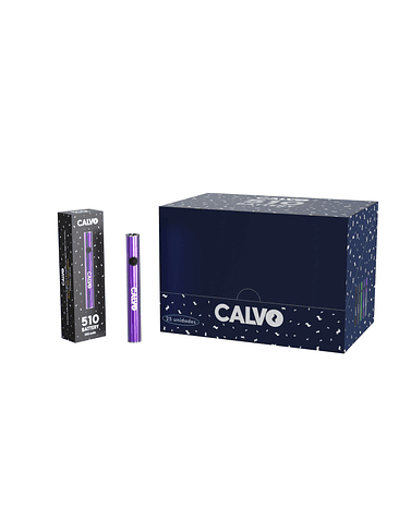 BATERIA 510 350MAH PURPLE-CALVO GLASS 1