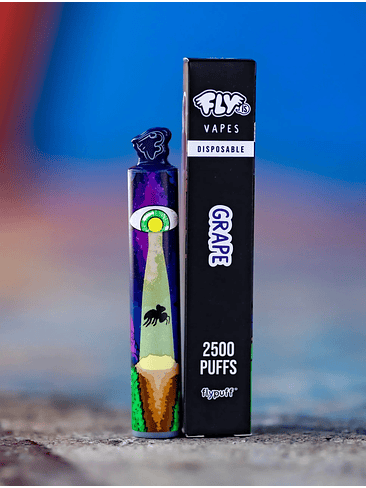 VAPORIZADOR 2500 GRAPE-FLY IS 1