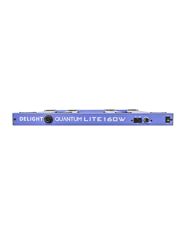 NEW QUANTUM LITE 160W-DELIGHT 2