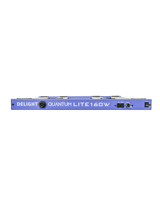 NEW QUANTUM LITE 160W-DELIGHT 2