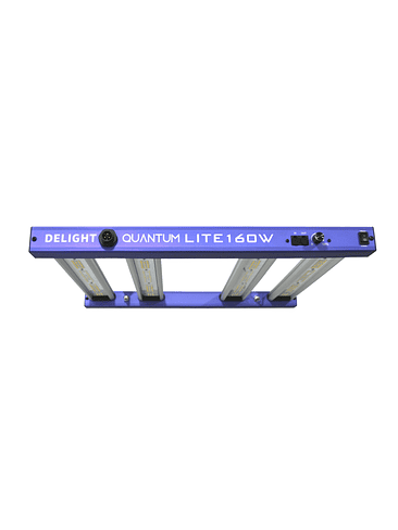 NEW QUANTUM LITE 160W-DELIGHT 3