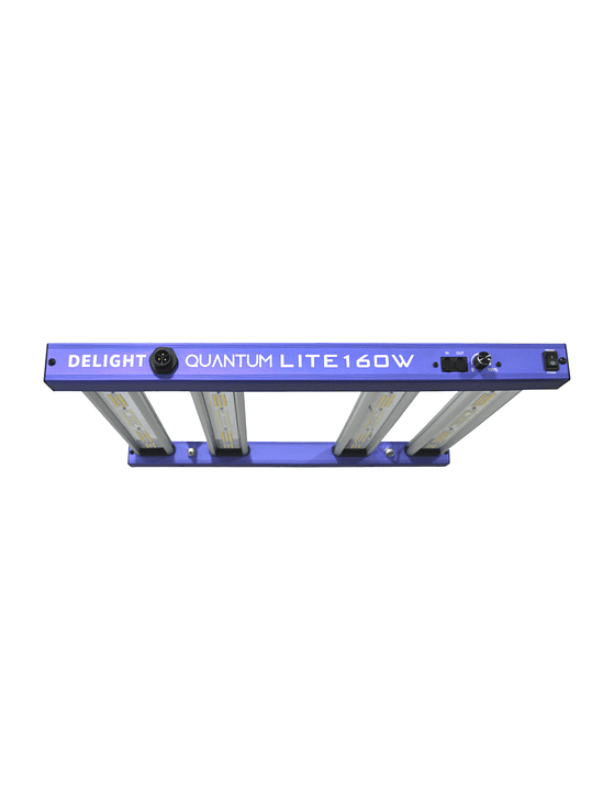 NEW QUANTUM LITE 160W-DELIGHT 3