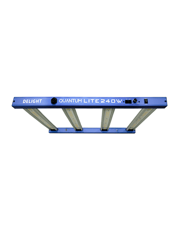 NEW QUANTUM LITE 240W-DELIGHT 2