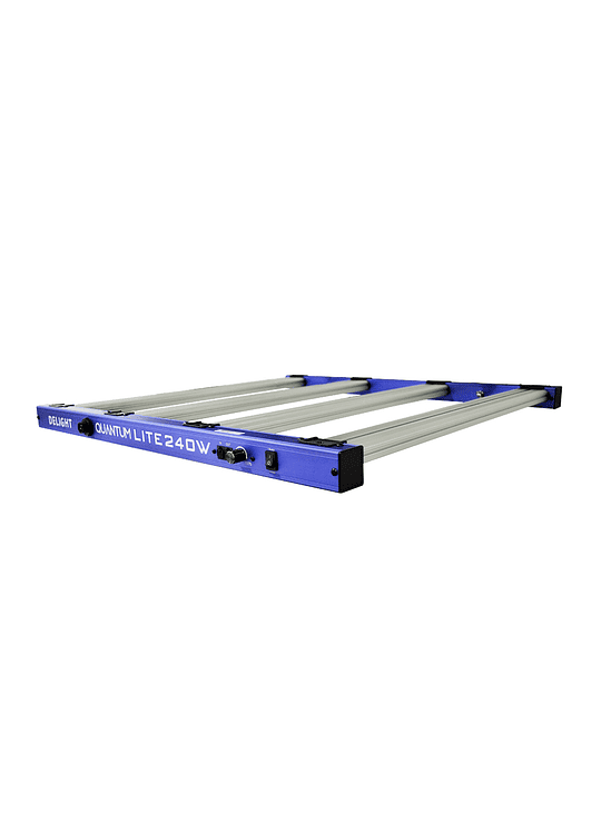NEW QUANTUM LITE 240W-DELIGHT 3